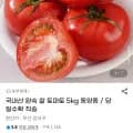 국내산 완숙 찰 토마토 동양종 5kg 외 다양