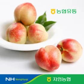 농협 신비복숭아 외 다양 2kg 12개