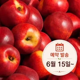 제철 천도복숭아 2kg 외 다양 20-25과
