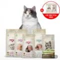 보나시보 유럽산 슈퍼프리미엄 고양이사료 (100g 포함) 모델명: 레시피 모음 (1개, 총 1kg) 외 다양