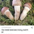 곡성 친환경 참송이버섯 외 다양 500g 1개
