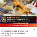 국내산 제철 꽃게 알배기 활 암꽃게 외 다양 1kg 중사이즈(4~6미) 총 10개