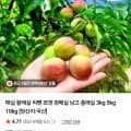 황매실 외 다양 5kg 왕특 36,800원