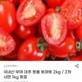 국내산 부여 대추 방울 토마토 외 다양 2kg