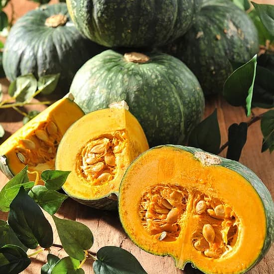 제주 미니밤호박 보우짱 로얄 외 다양 1.5kg 총 12개