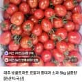 대추 방울토마토 5kg (1,800원/무료)2