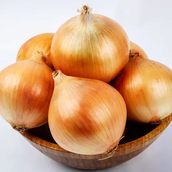 국내산 26년 햇양파 5kg 혼합 외 사이즈 다양 (5,560원~/무료)