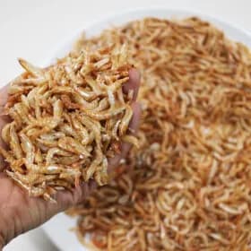 장인육수 비책 국산 보리새우 300g (8,700원/무배)