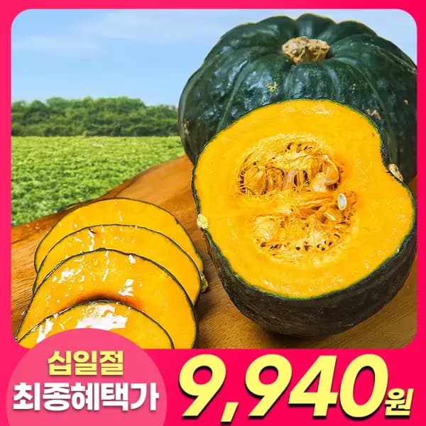 제주 햇 미니단호박 보우짱 2kg 특품 (9,940원/무배)