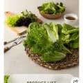 당일수확 유러피안 샐러드 6종 1kg (5,900원/무배)