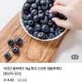 국내산 블루베리 1kg 특과 (35,900원/무배)