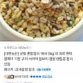 균형혼합 19곡 5kg 10800 / 무배