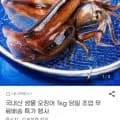 국내산 생물 오징어 외 다양 kg 10미내외 16900원