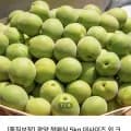 광양 청매실 대과 외 다양 5kg