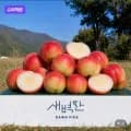 신비복숭아 천도복숭아 외 다양 1kg 중소과 10개
