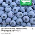 국내산 무농약 생블루베리 외 다양 kg (33,730원) 총 1kg