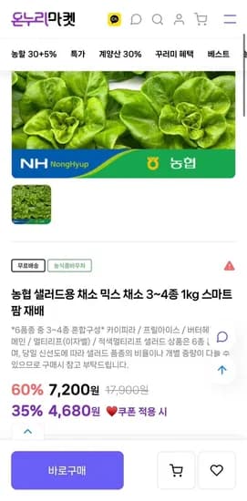 농협 유럽식 샐러드 채소 1kg 외 다양
