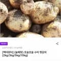 수미 햇감자 외 다양 2kg