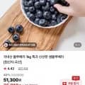 국내산 블루베리 특과 1kg 외 다양