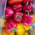 못난이 파프리카 (색상혼합) 외 다양 2kg