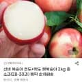 신비 복숭아 천도+백도 햇복숭아 2kg 중소과 외 다양 28-30과