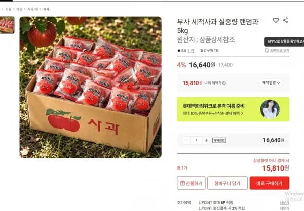 세척 부사사과 외 다양 5kg