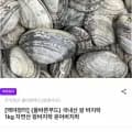 국내산 왕 바지락 외 다양 1kg