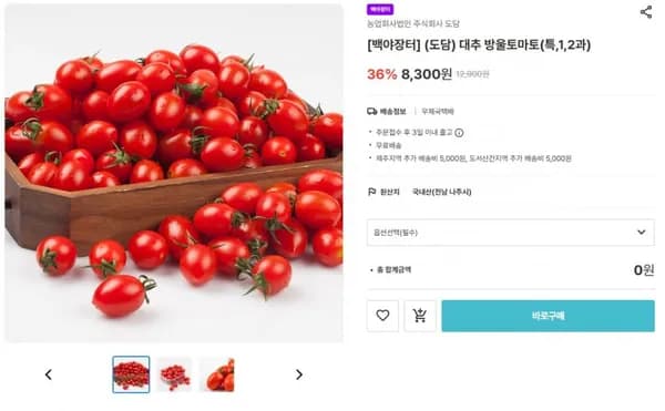 특사이즈 대추 방울토마토 1kg 외 다양