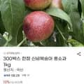 신비복숭아 중소과 외 다양 1kg