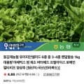 유러피안 샐러드 채소 1kg