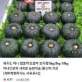 제주도 미니 밤호박 2kg