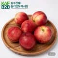 신비복숭아 2kg