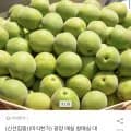 매실 대 사이즈 30mm 5kg