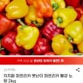 파프리카 빨강 노랑 2kg