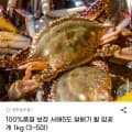 알배기 활 암꽃게 1kg 3-5미 중사이즈