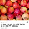 경북 자두 1kg 20과 내외