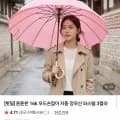 16K 우드손잡이 자동 장우산 (8,900원 / 무배)