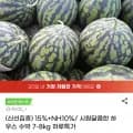 고당도 하우스 수박 7-8kg