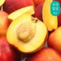 영천 금호농협 천도복숭아 3kg (12,860원/무료)