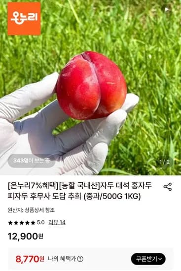 대석 홍자두 중과 500g