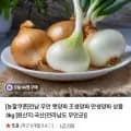 전남 무안 햇양파 조생양파 만생양파 상품 3kg (4,230원/무료)