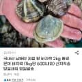 국내산 남해안 제철 왕 바지락 2kg (1kg당 60미내외) (12,670원/무료)