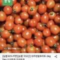 대추방울토마토 5kg