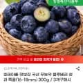 무농약 블루베리 생과 특품 300g