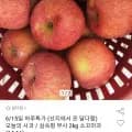 사과 부사 2kg 소꼬마과