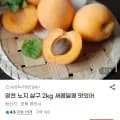 영천 노지 살구 2kg