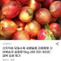 신비복숭아 실중량 5kg 내외 (50~80과)