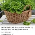 담수경재배 친환경 유러피안 샐러드 kg (2~4종 랜덤)