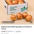 국내산 햇양파 3kg
