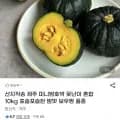 제주 미니밤호박 10kg
